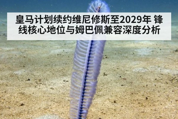 皇马计划续约维尼修斯至2029年 锋线核心地位与姆巴佩兼容深度分析