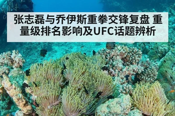 张志磊与乔伊斯重拳交锋复盘 重量级排名影响及UFC话题辨析